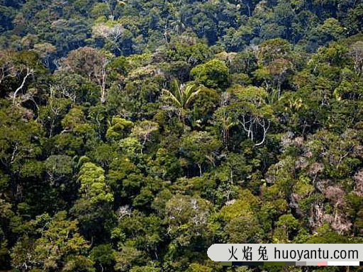 世界上有长生不死的人吗?亚马逊森林死不了的人奥鲁·乌加欧