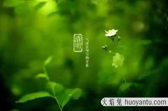 清明节先上外公坟还是爷爷坟2