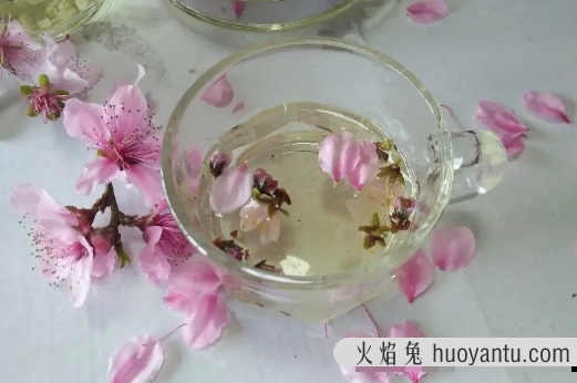 桃花茶可以加红枣吗2