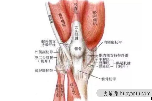 古代刑罚膑刑是什么?挖去膝盖骨(孙膑受过此刑法)