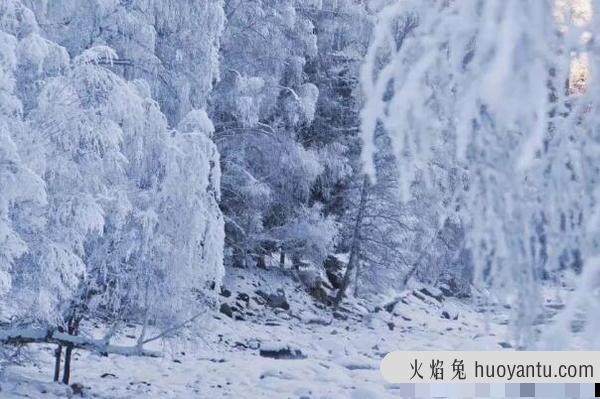 “王炸级”寒潮又发威:威海积雪20厘米，广东最低温-5℃