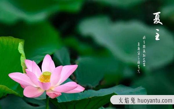 夏至是什么意思?北半球白天最长影子最短(夏天到来)