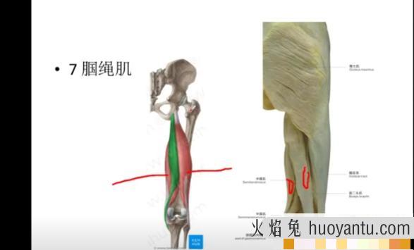 张振听视频零力度正骨九龙文档正骨整脊中医整复基础关节基础教授