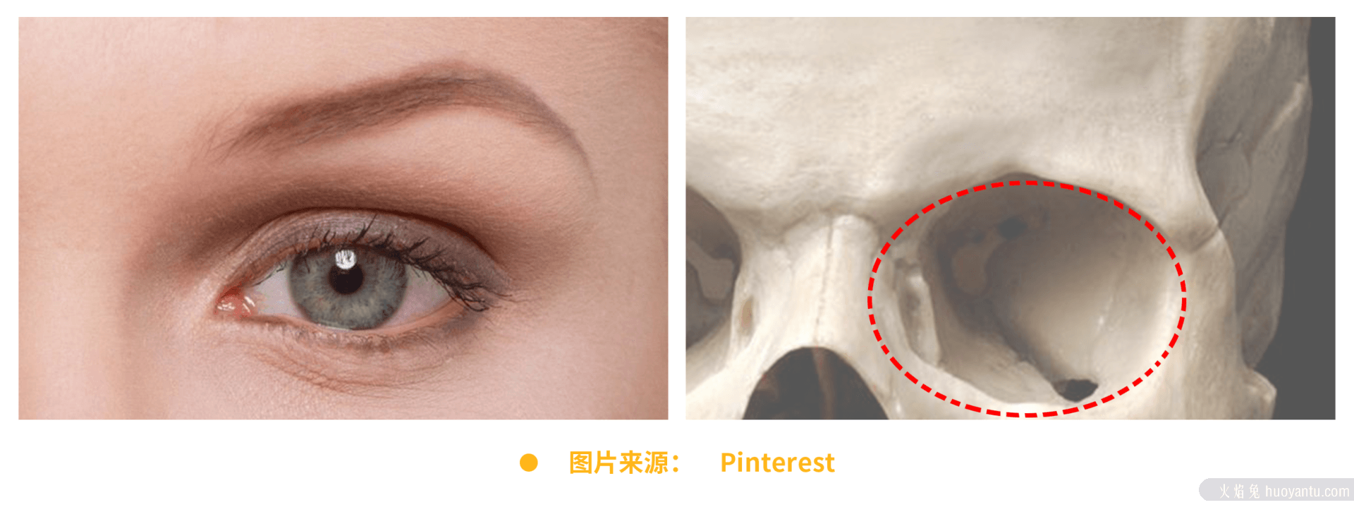 4种风格实例、11个眼睛绘制要点，手把手教你画眼睛！