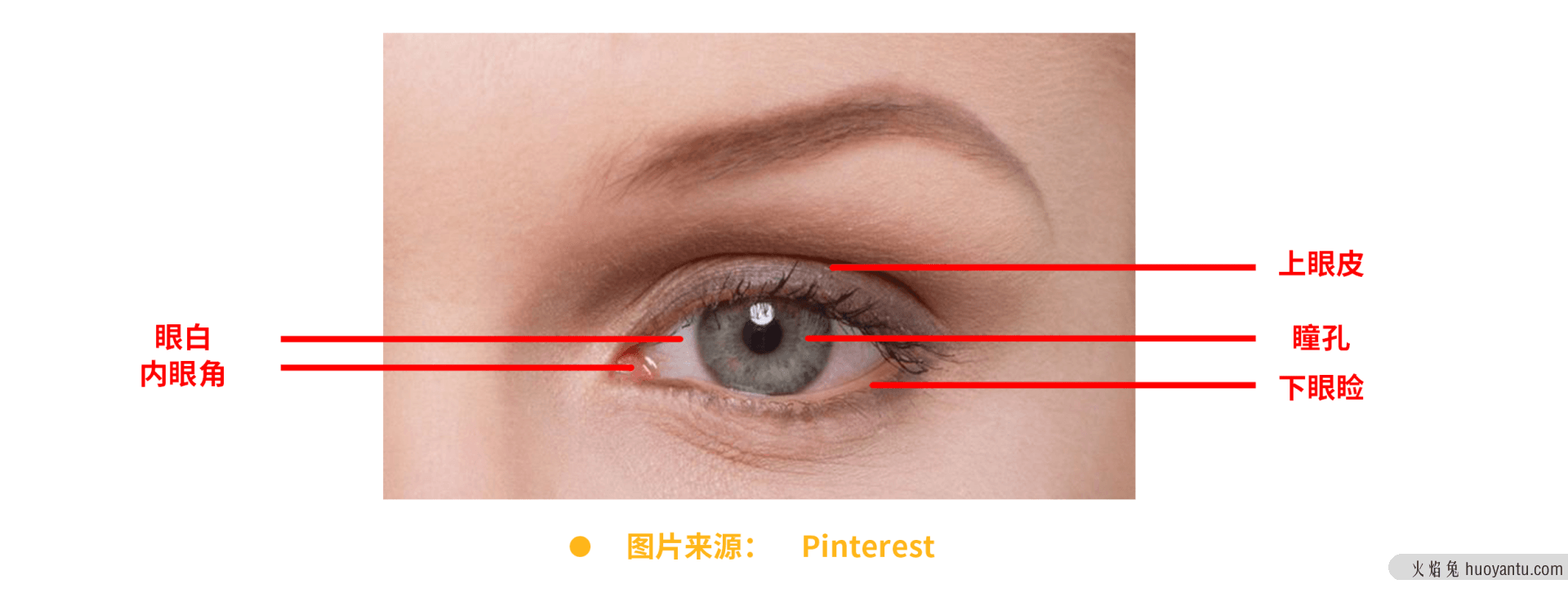 4种风格实例、11个眼睛绘制要点，手把手教你画眼睛！