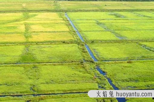 周朝实行的井田制是什么样的