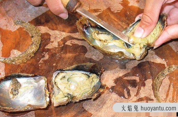 动物因人类而死亡?因人类而濒危的10大生物(真相揭秘)