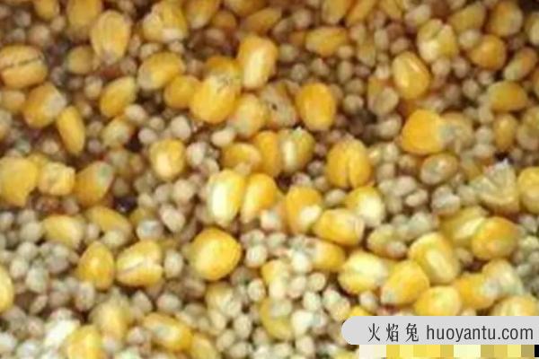 青鱼喜欢吃什么味型的饵料