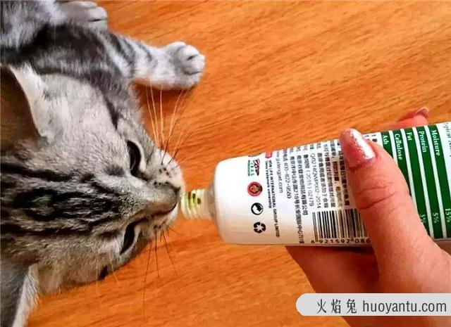 猫草可以代替化毛膏吗(猫吃草可以代替化毛膏吗)