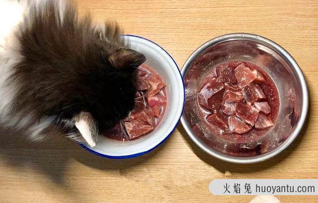 猫草可以代替化毛膏吗(猫吃草可以代替化毛膏吗)