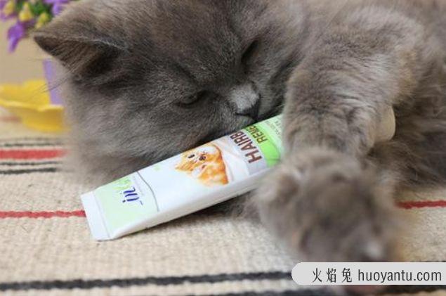 猫草可以代替化毛膏吗(猫吃草可以代替化毛膏吗)