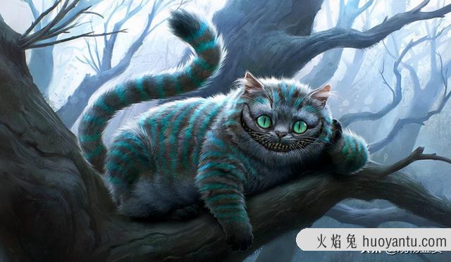 柴郡猫是什么品种(柴郡猫是什么猫)