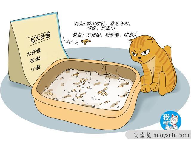 膨润土猫砂的优缺点(膨润土猫砂的优缺点有哪些)