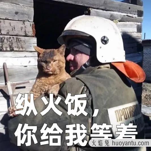 俄罗斯猫的品种有哪些(俄罗斯有什么品种的猫)