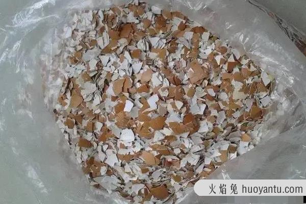 什么花喜欢鸡蛋壳肥料