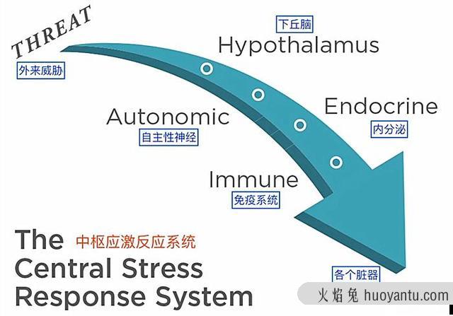 猫咪尿频是什么原因(猫咪尿频是怎么回事)