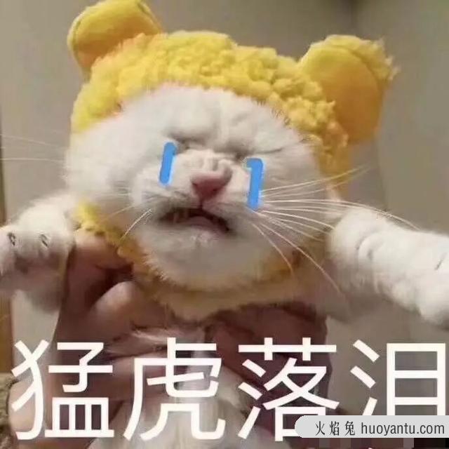 猫尿味怎么去除(房间里有猫尿味怎么去除)