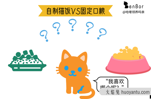 自制猫饭能代替猫粮吗(自制猫饭能代替猫粮吗百度)