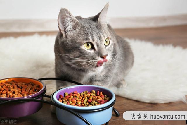 猫咪发腮吃什么最好(猫咪发腮吃啥好)