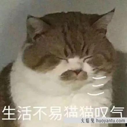 自动猫砂盆有必要买吗(自动猫砂盆好不好)