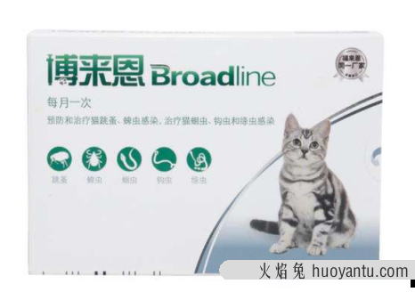 小猫驱虫药哪个牌子好(宠物猫驱虫药什么牌子好)