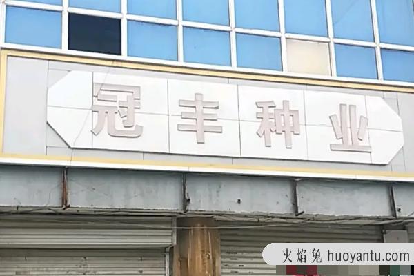 国审玉米品种十大名牌排行榜