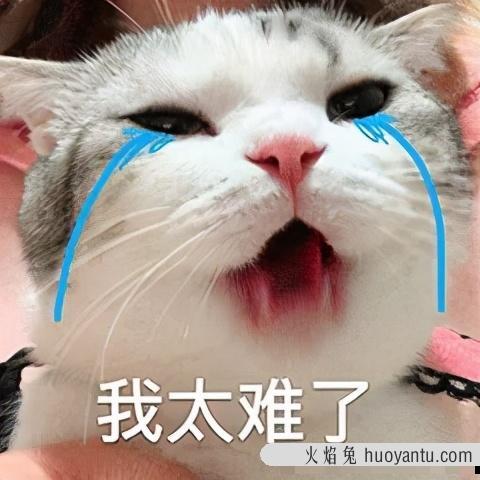 猫放屁很臭怎么回事(猫放屁特别臭)