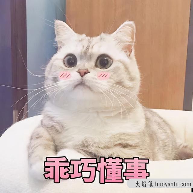 猫放屁很臭怎么回事(猫放屁特别臭)