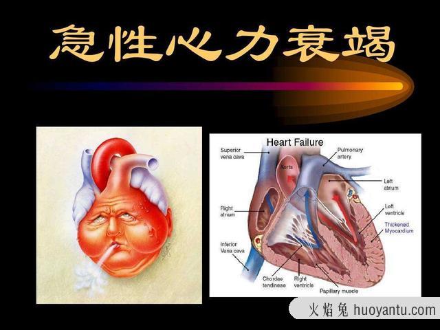 猫肺水肿是怎么引起的(猫肺水肿什么引起的)