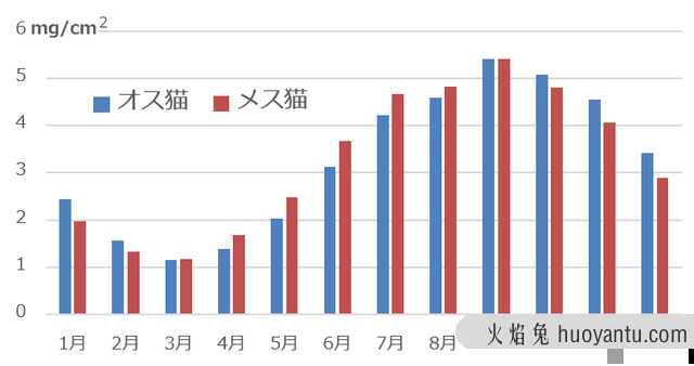 猫咪掉毛是几月份到几月份(猫猫几月份掉毛)