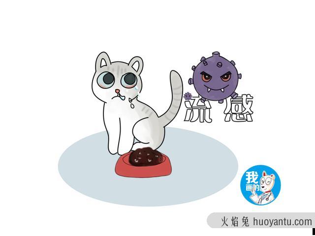 猫打呼噜声音大怎么回事(猫打呼噜很大声怎么办)