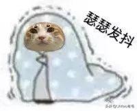 猫打喷嚏会传染给人吗(猫打喷嚏会不会传染给人)