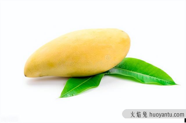 猫可以吃菠萝吗(布偶猫可以吃菠萝吗)