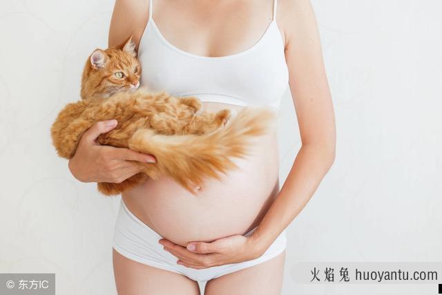 准备怀孕可以养猫吗(准备怀孕能养猫吗)