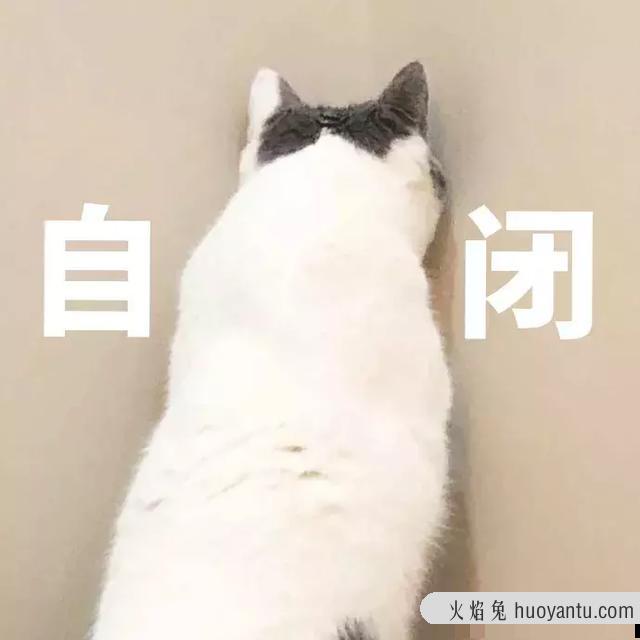 猫咪眼睛发炎会自愈吗(猫咪眼睛炎症会自己好吗)