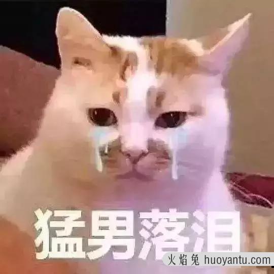 猫咪眼睛发炎会自愈吗(猫咪眼睛炎症会自己好吗)