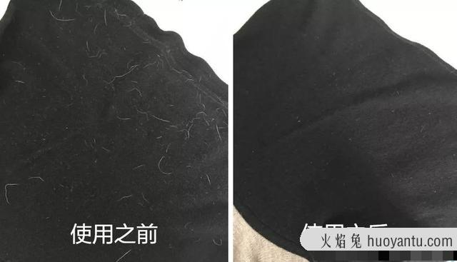 给猫剃毛用什么工具(猫咪剃毛用什么剃刀)