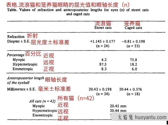 猫眼中的世界和人类一样吗(猫眼里的世界是怎么样的)