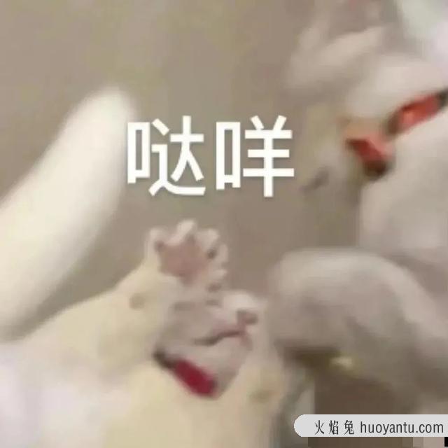 猫咪可以吃奶油吗(猫咪不能吃奶油吗)