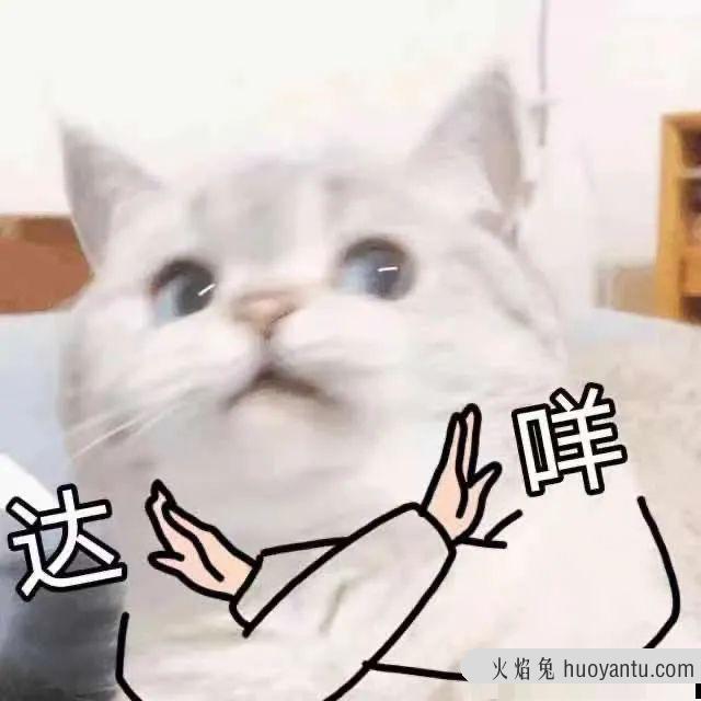 猫咪可以吃奶油吗(猫咪不能吃奶油吗)