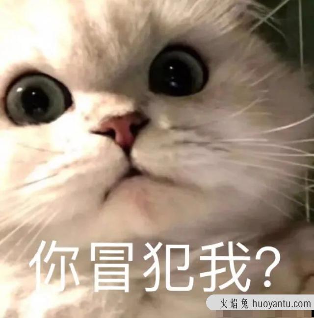 猫咪可以吃奶油吗(猫咪不能吃奶油吗)