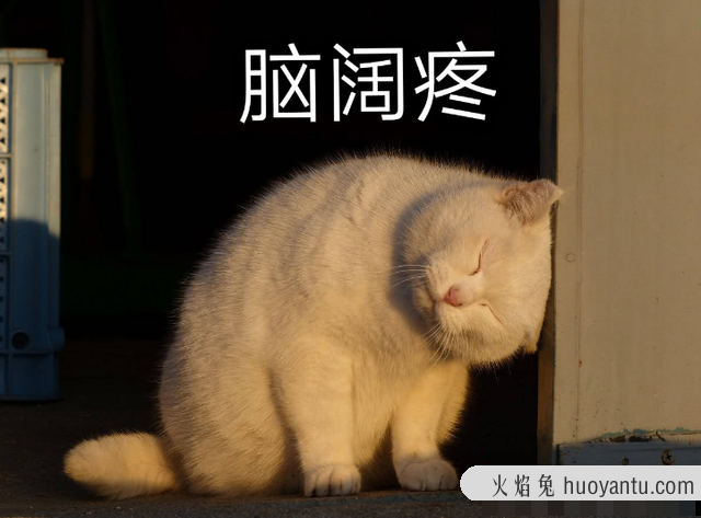 猫咪咕噜咕噜的舔人是怎么回事(猫咪舔人还咕噜咕噜)