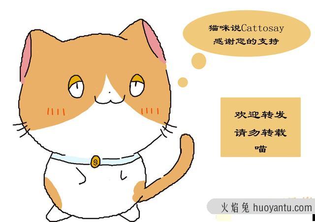 猫铃铛对猫有伤害吗(小铃铛对猫咪有影响吗)