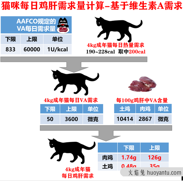 猫能吃鸡肝吗(猫可以常吃鸡肝吗)