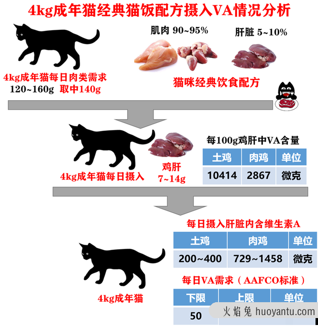 猫能吃鸡肝吗(猫可以常吃鸡肝吗)