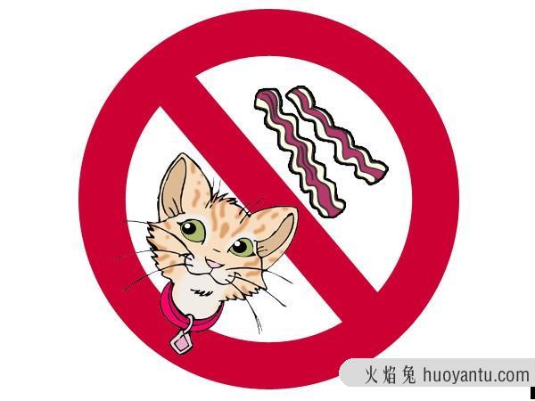 猫可以吃羊肉吗(猫能不能吃羊肉)