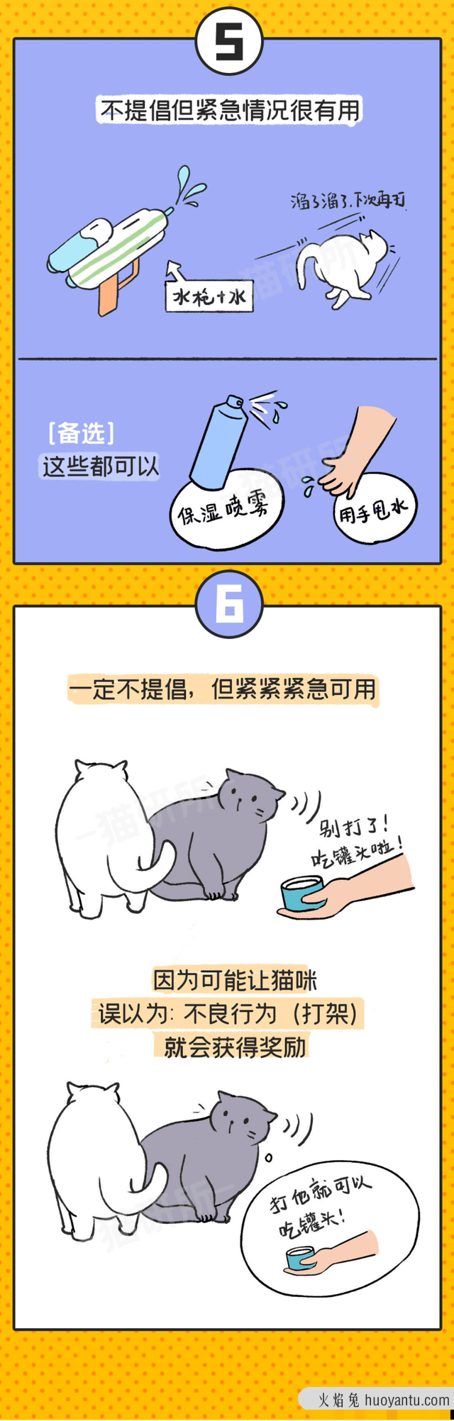 猫哈人怎么教育(猫咪哈人怎么教育)