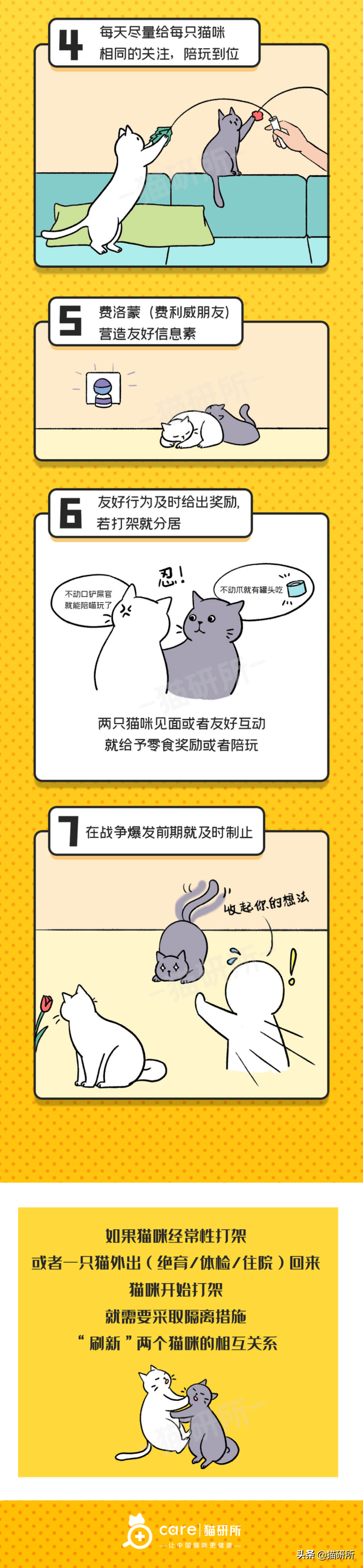 猫哈人怎么教育(猫咪哈人怎么教育)