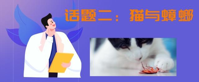 猫抓蟑螂吃蟑螂会有事吗(猫抓蟑螂会不会吃)