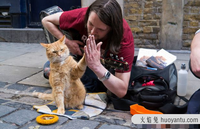 猫咪蹭你腿什么意思(流浪猫咪蹭你腿什么意思)